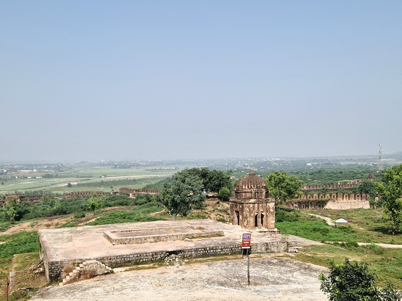 20250923_132827 (Kopiowanie).jpg