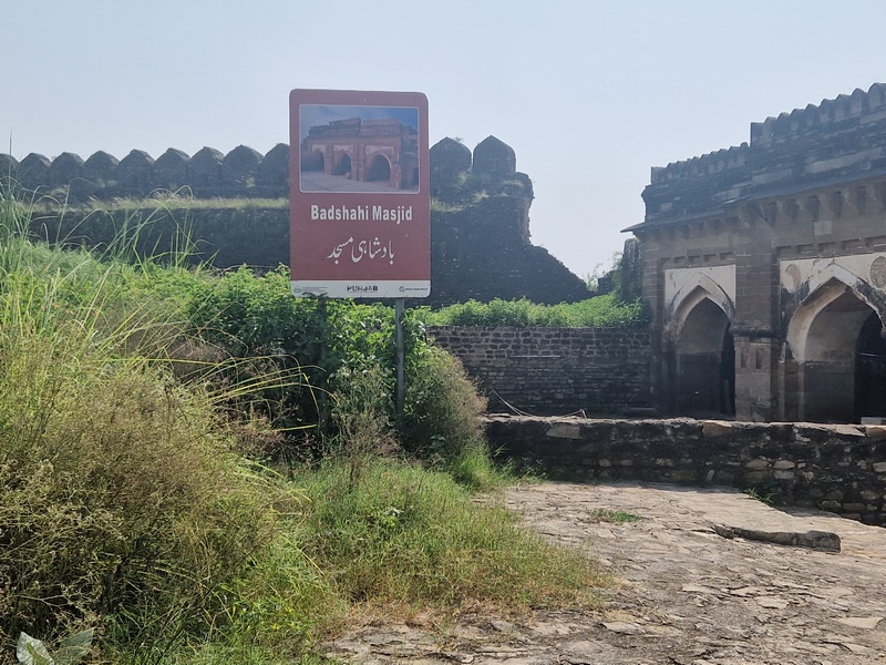 20250923_133300 (Kopiowanie).jpg