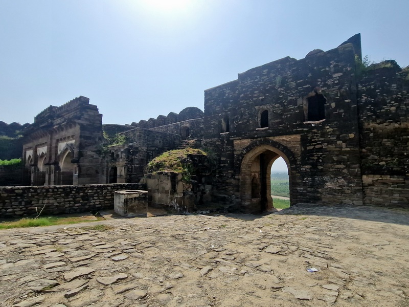 20250923_133305 (Kopiowanie).jpg