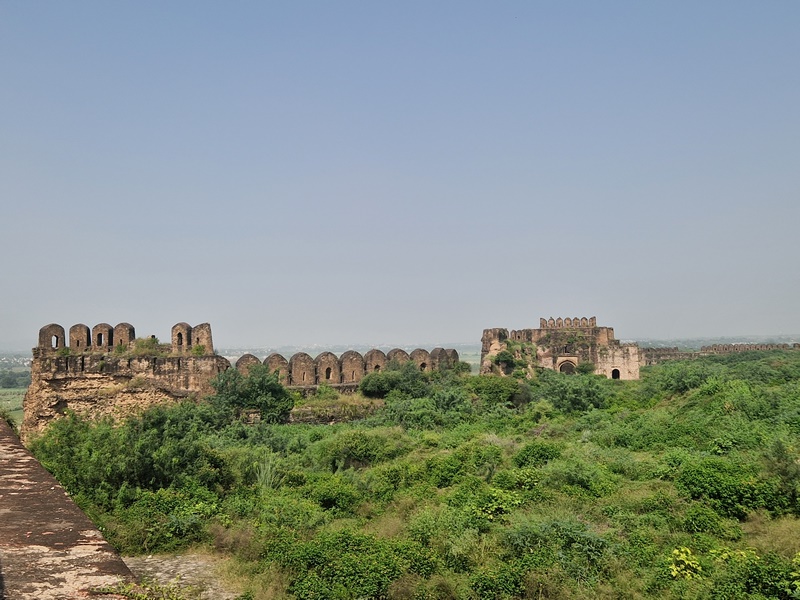 20250923_133653 (Kopiowanie).jpg