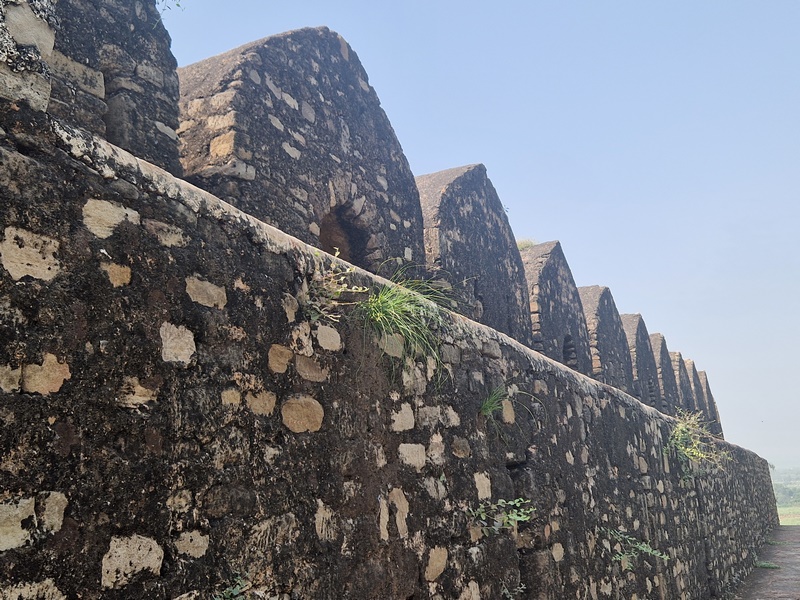 20250923_133659 (Kopiowanie).jpg