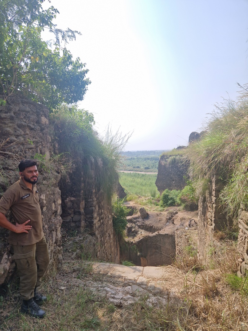 20250923_134109 (Kopiowanie).jpg