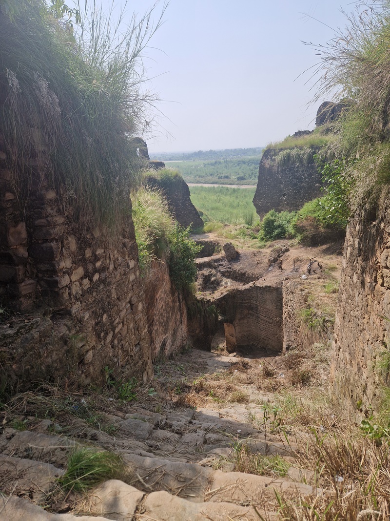 20250923_134122 (Kopiowanie).jpg