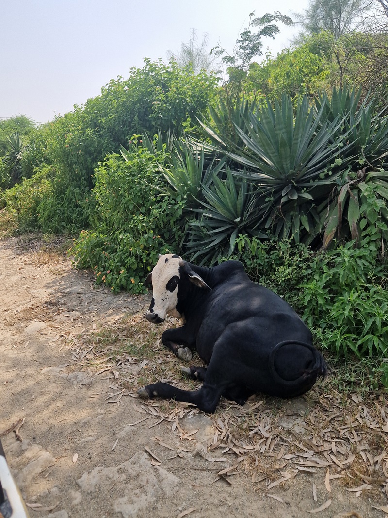 20250923_135052(0) (Kopiowanie).jpg