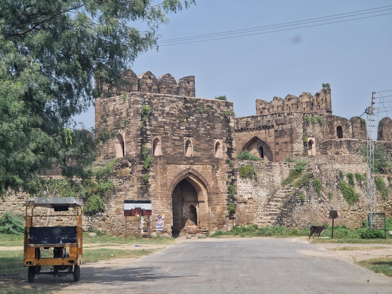 20250923_140553 (Kopiowanie).jpg