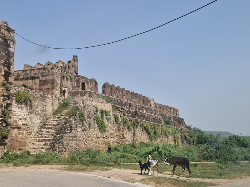 20250923_140601 (Kopiowanie).jpg