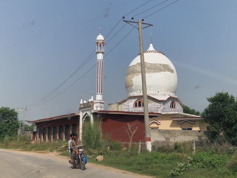 20250923_141219 (Kopiowanie).jpg