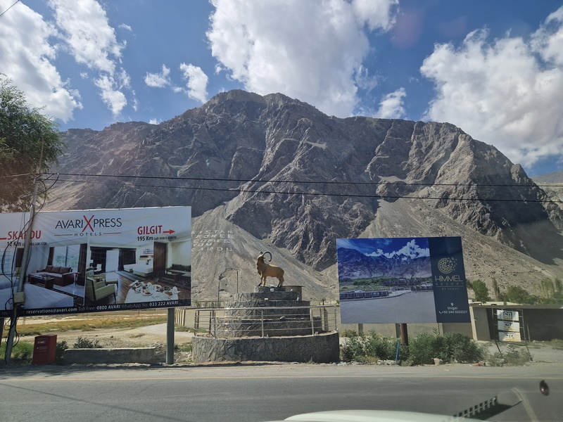 20250924_112957 (Kopiowanie).jpg