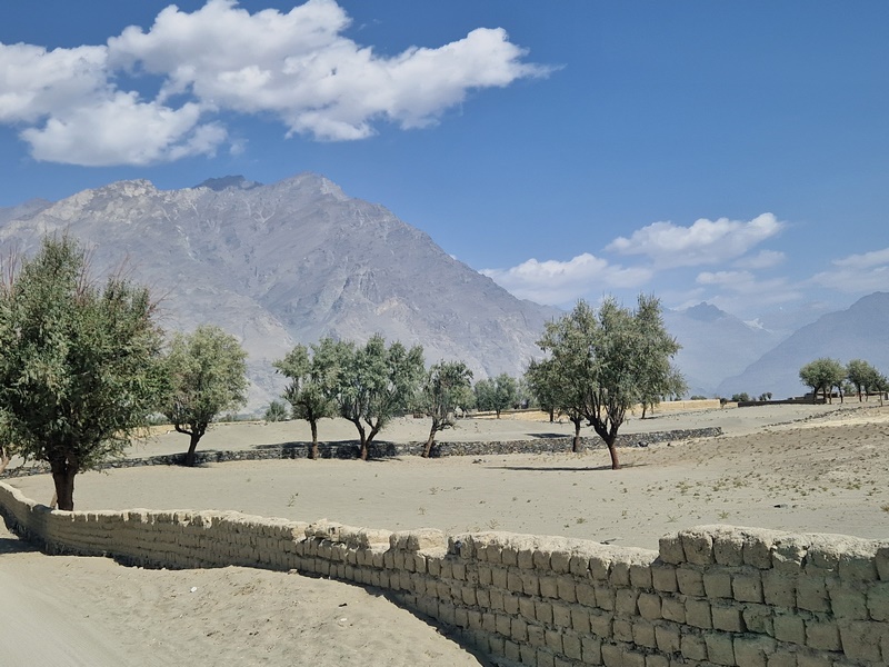 20250924_114054 (Kopiowanie).jpg