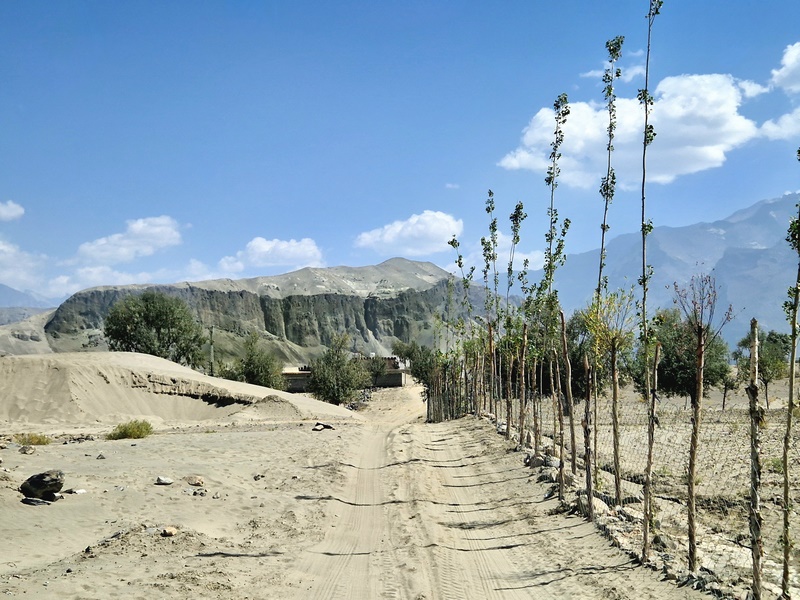 20250924_114423 (Kopiowanie).jpg