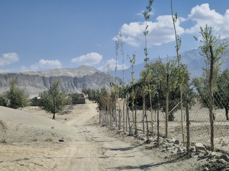 20250924_114429 (Kopiowanie).jpg