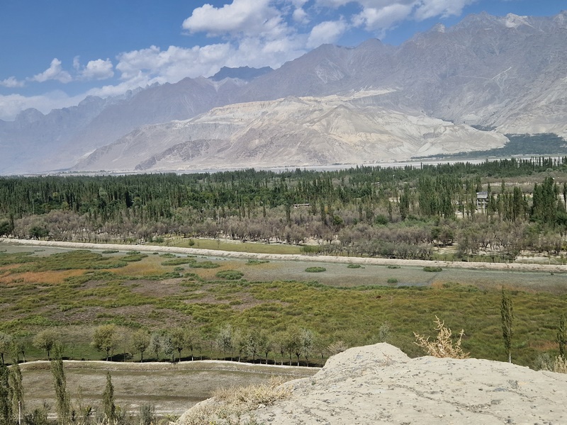 20250924_114544 (Kopiowanie).jpg