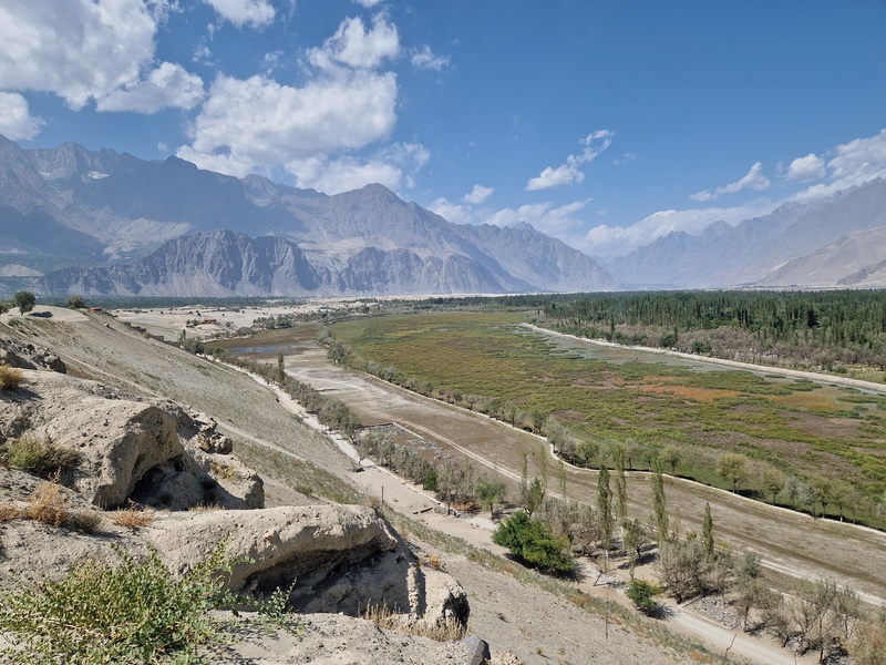 20250924_114618 (Kopiowanie).jpg