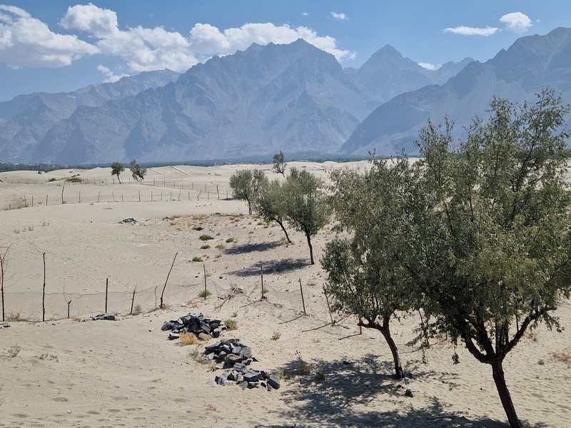 20250924_114757 (Kopiowanie).jpg