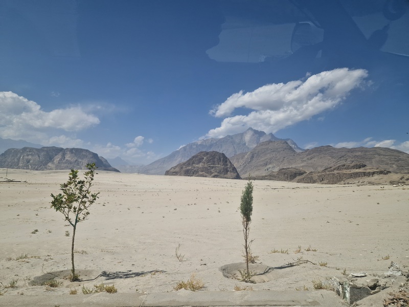 20250924_123353 (Kopiowanie).jpg