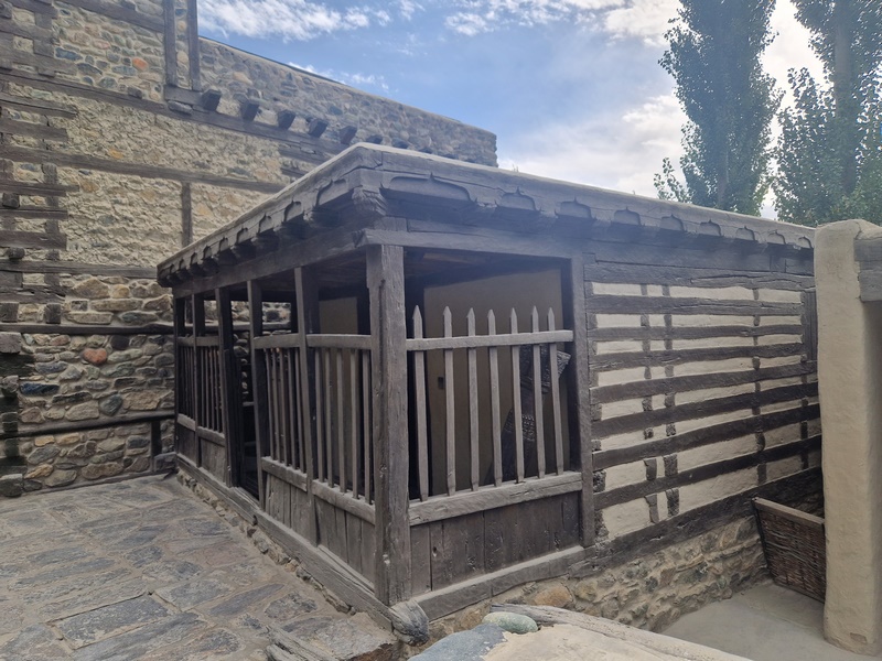 20250924_143736 (Kopiowanie).jpg