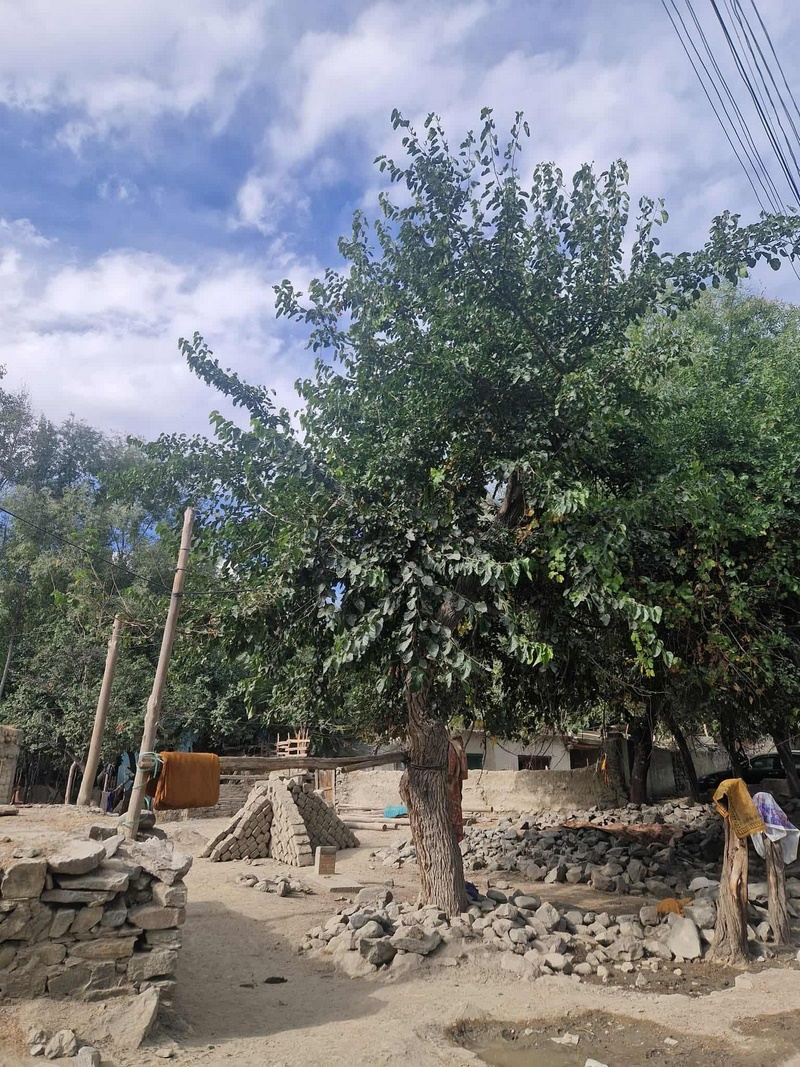 7b4d9ff7-2b90-4d31-b13a-d611ccecbda6 (Kopiowanie).jpg