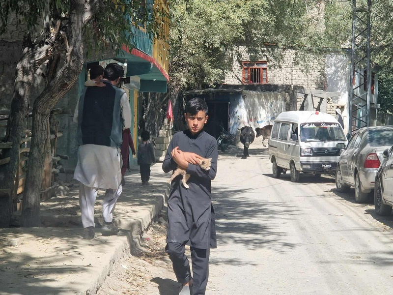 89ccbcfc-41a7-4224-a0cc-0150641cdef44 (Kopiowanie).jpg