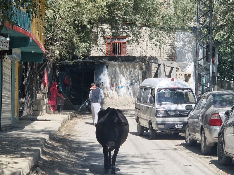 20250924_130236 (Kopiowanie).jpg