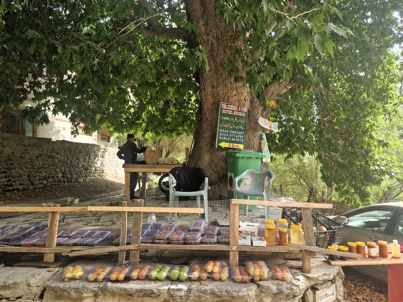 20250924_145057 (Kopiowanie).jpg