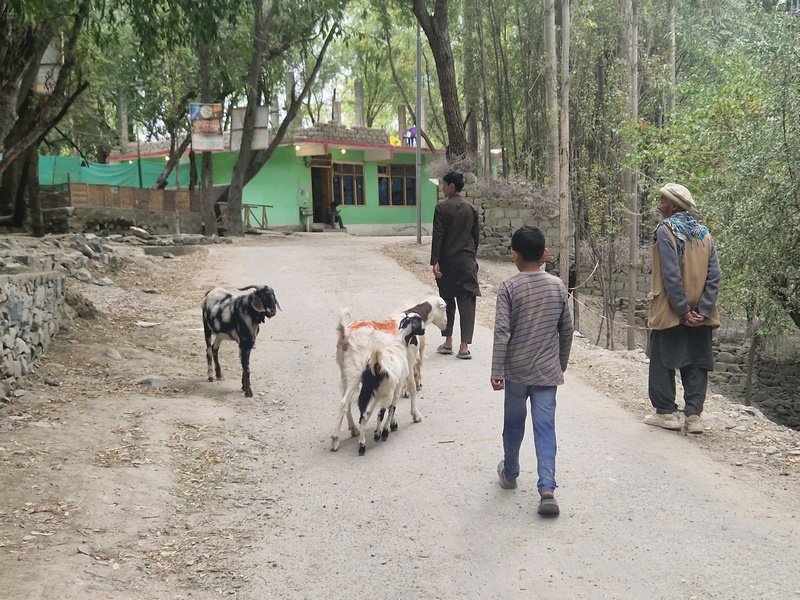 20250924_145548 (Kopiowanie).jpg