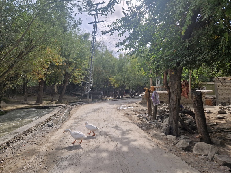 20250924_145853 (Kopiowanie).jpg