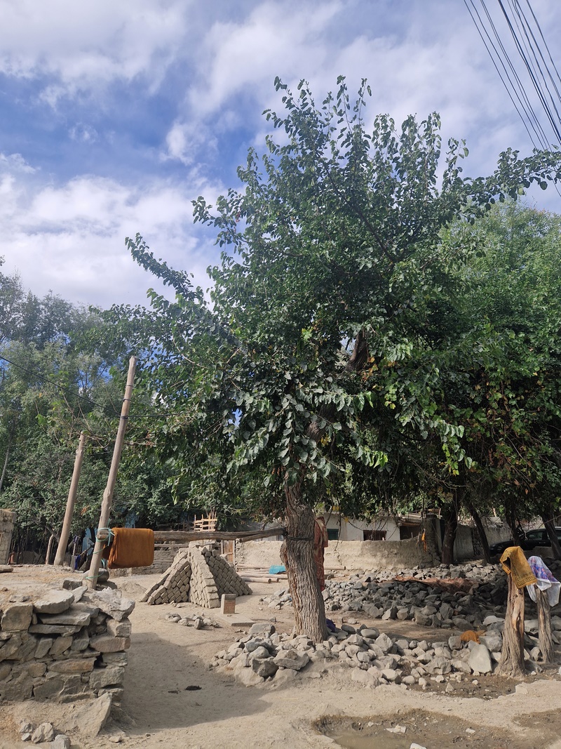 20250924_145943 (Kopiowanie).jpg