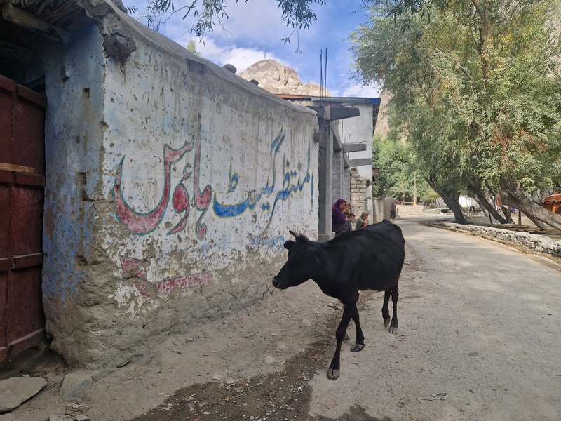 20250924_150143 (Kopiowanie).jpg