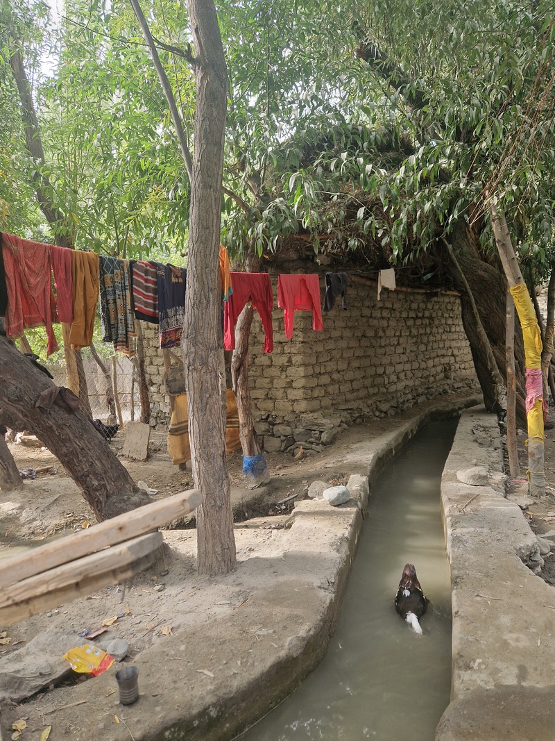 20250924_150209 (Kopiowanie).jpg