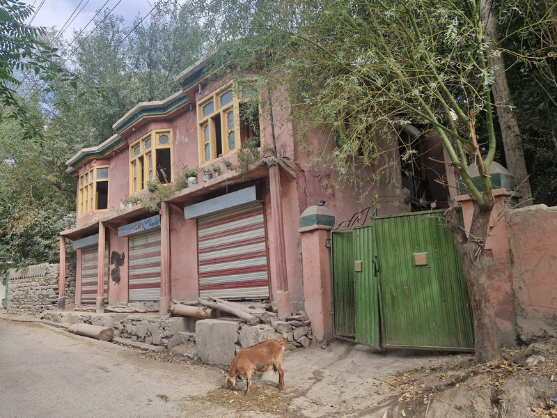 20250924_150637 (Kopiowanie).jpg