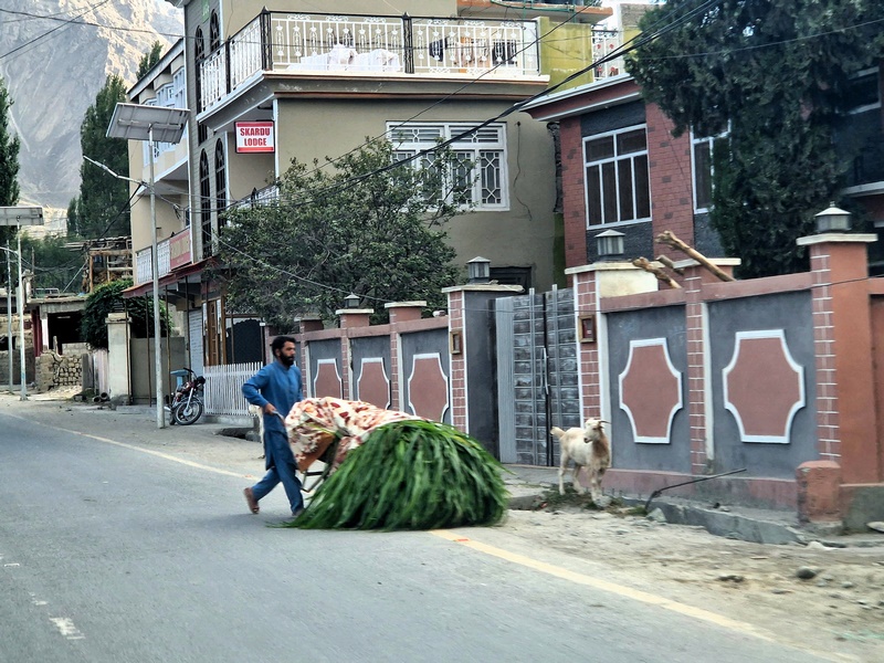 20250924_162642 (Kopiowanie).jpg