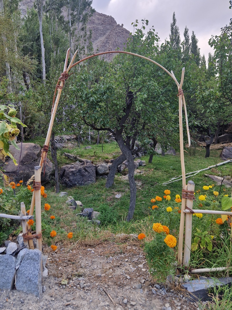 20250924_165533 (Kopiowanie).jpg