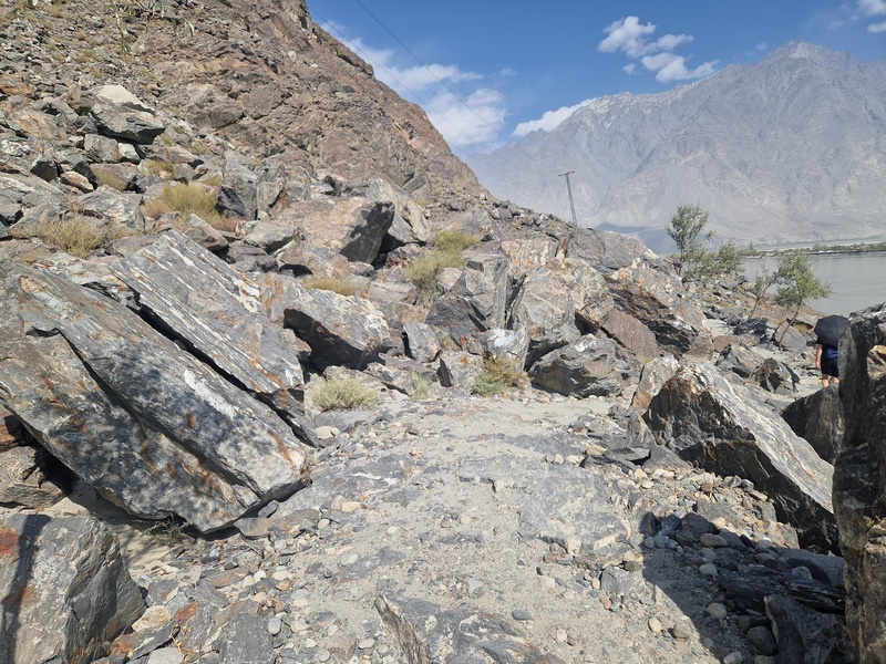 20250925_095611 (Kopiowanie).jpg