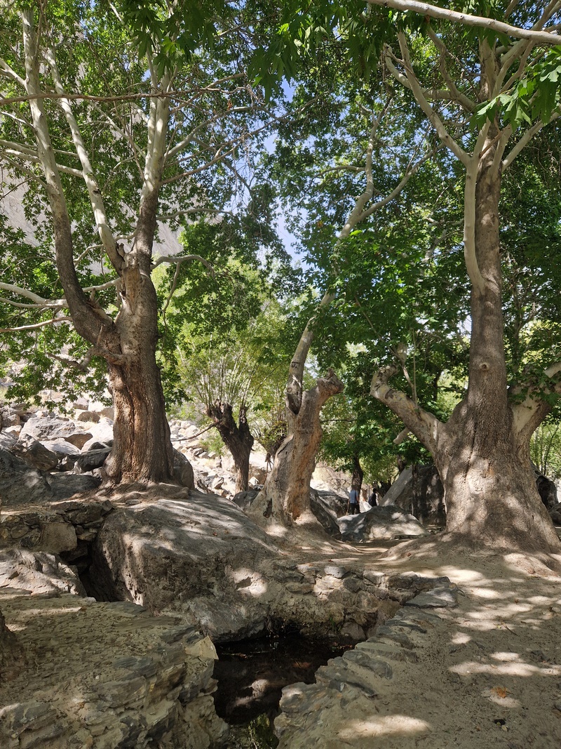 20250925_100918 (Kopiowanie).jpg