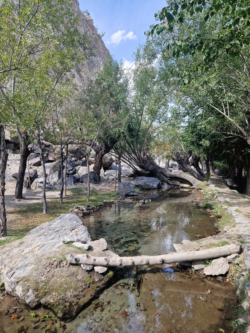 20250925_101208 (Kopiowanie).jpg