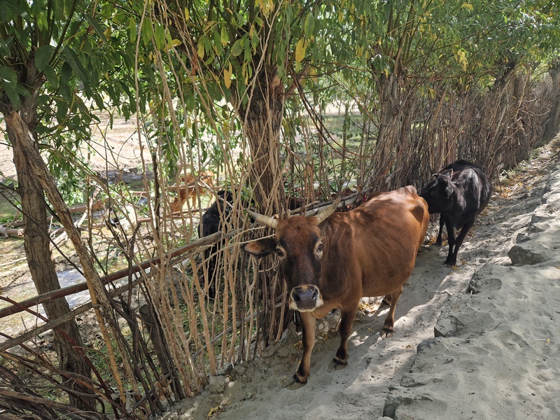 20250925_101330 (Kopiowanie).jpg