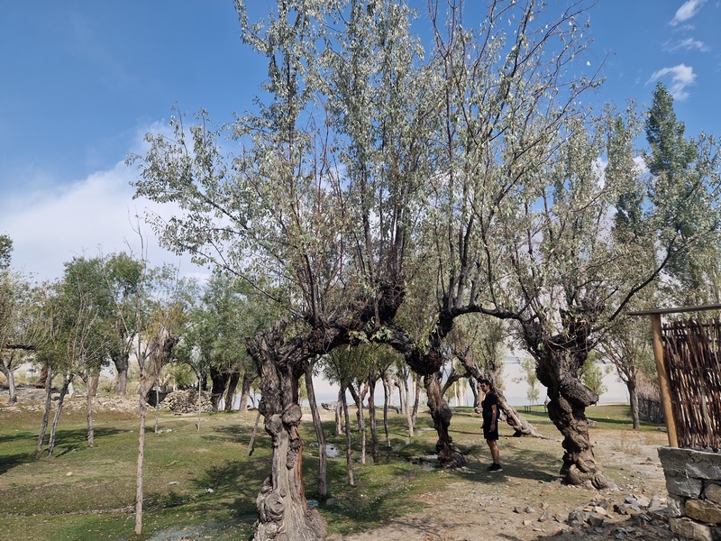 20250925_101729 (Kopiowanie).jpg