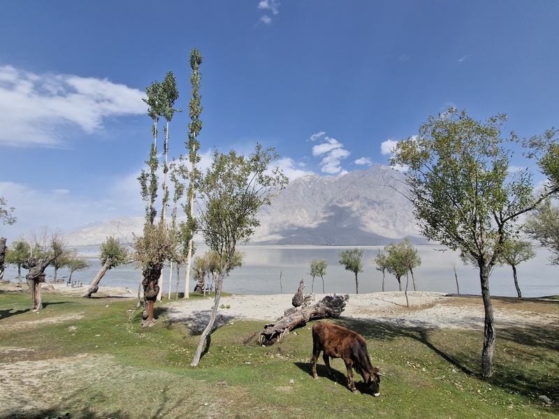 20250925_102341 (Kopiowanie).jpg