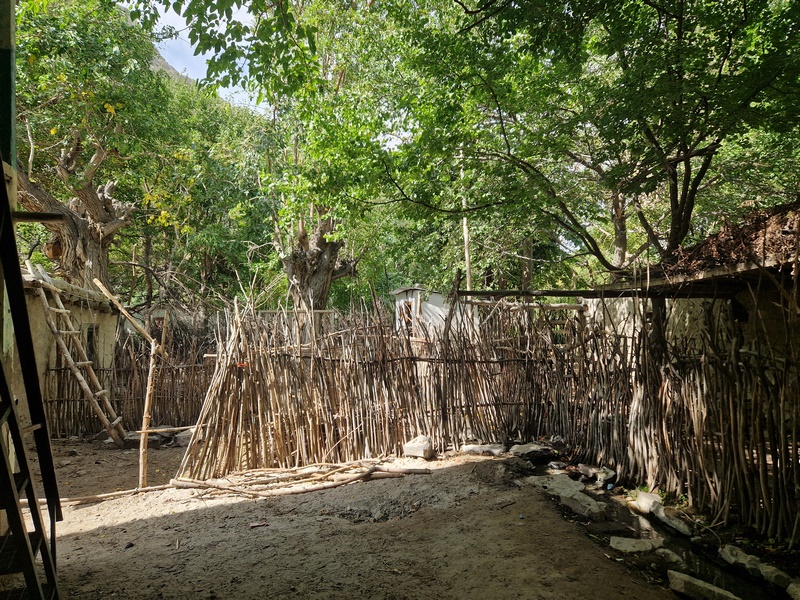 20250925_102949 (Kopiowanie).jpg