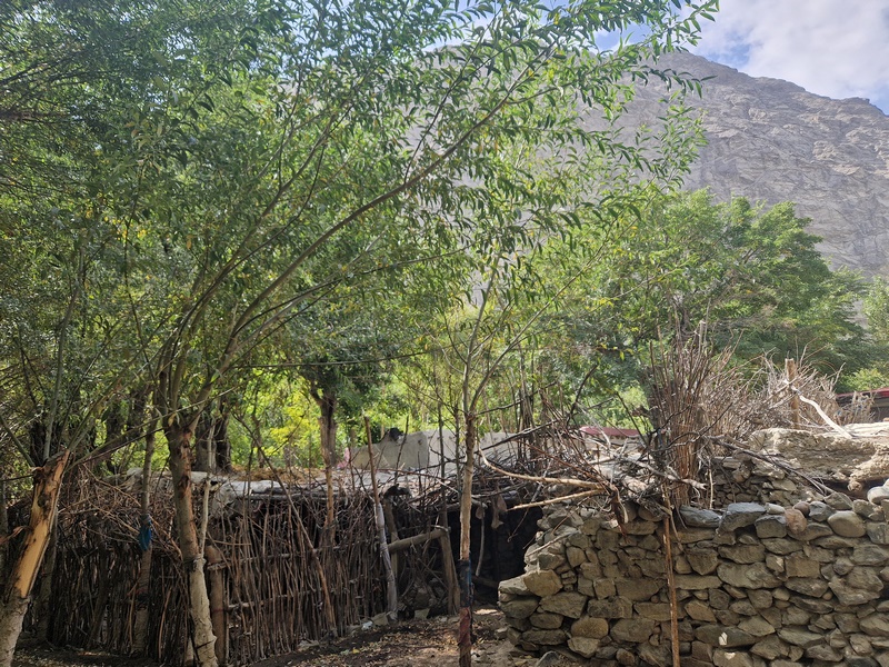 20250925_103025 (Kopiowanie).jpg