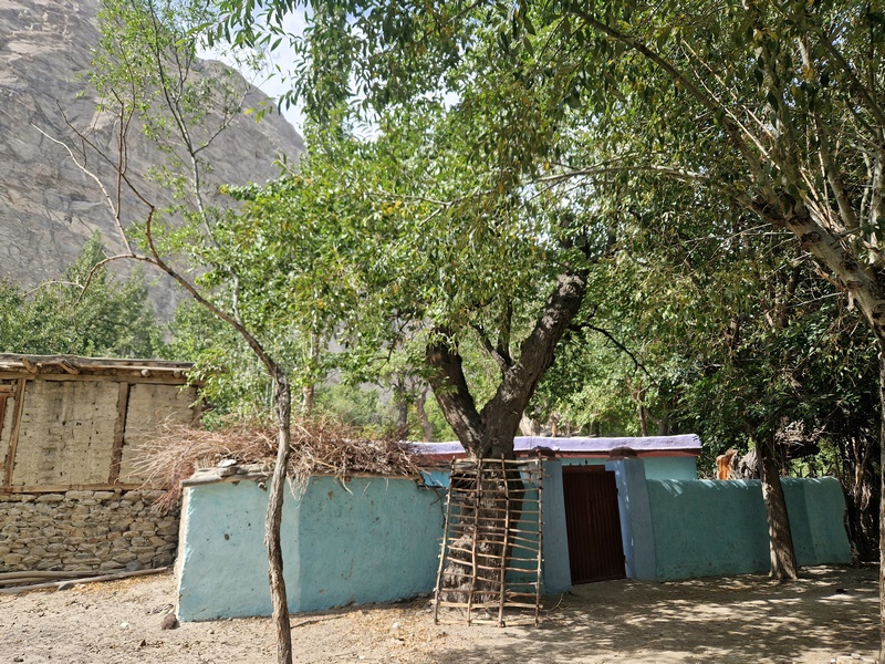 20250925_103350 (Kopiowanie).jpg