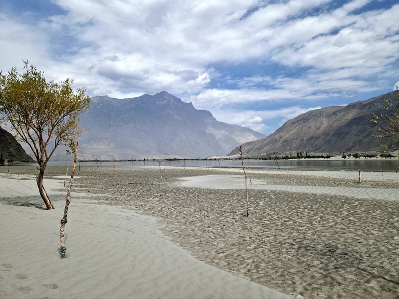 20250925_110202 (Kopiowanie).jpg