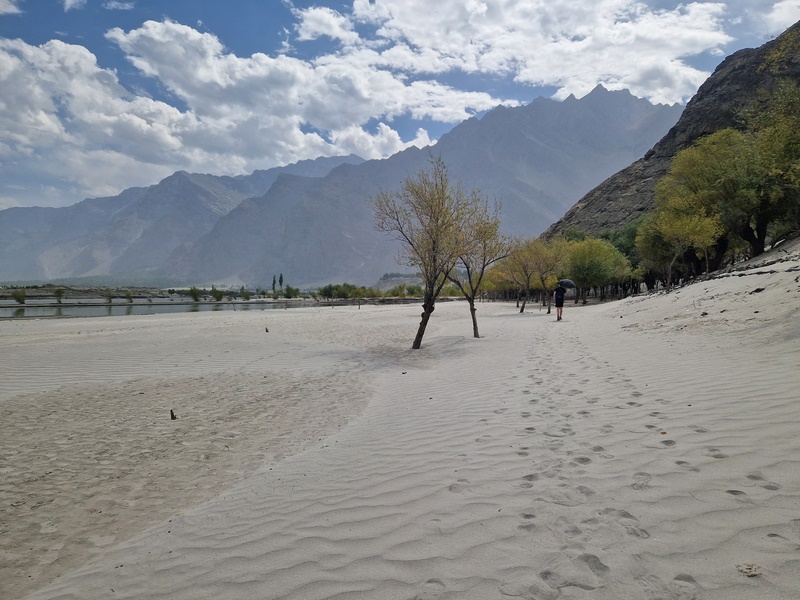 20250925_110204 (Kopiowanie).jpg