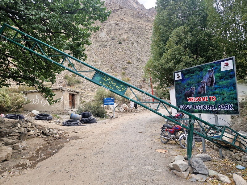 20250925_145506 (Kopiowanie).jpg