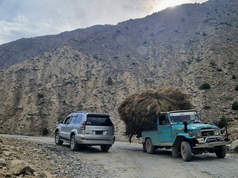 20250925_150926 (Kopiowanie).jpg