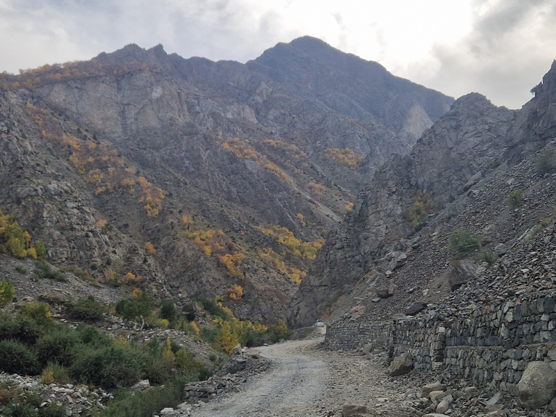 20250925_152601 (Kopiowanie).jpg