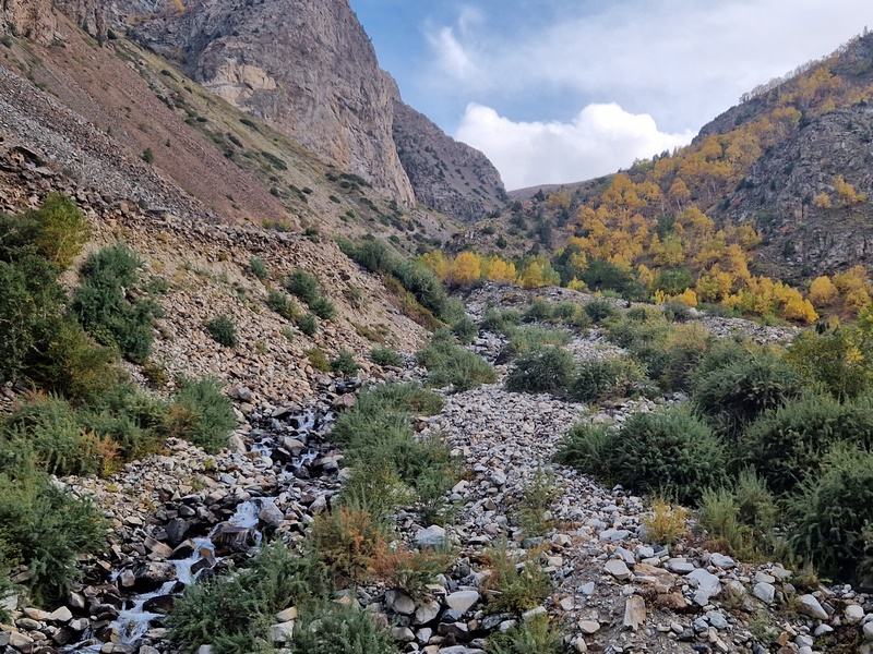 20250925_152613 (Kopiowanie).jpg