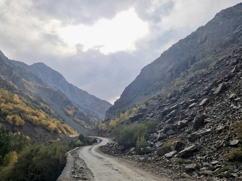 20250925_152742 (Kopiowanie).jpg