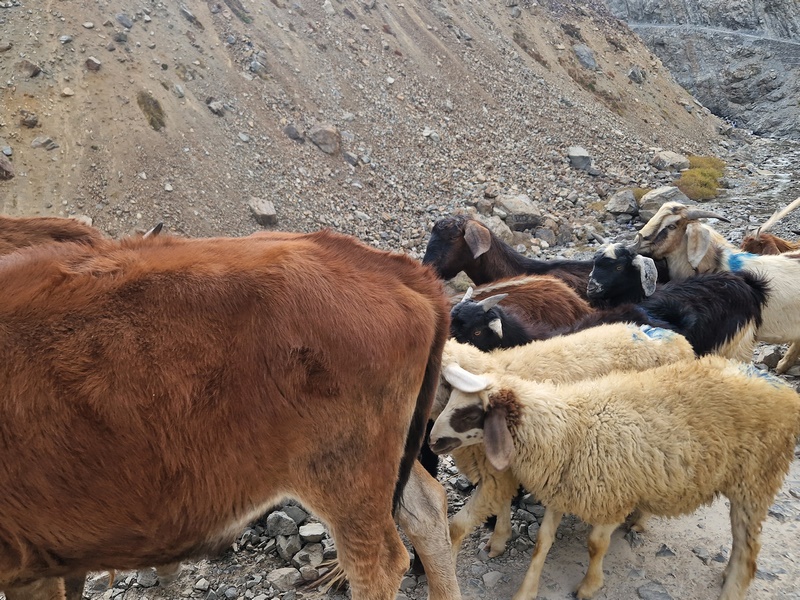 20250925_154318 (Kopiowanie).jpg