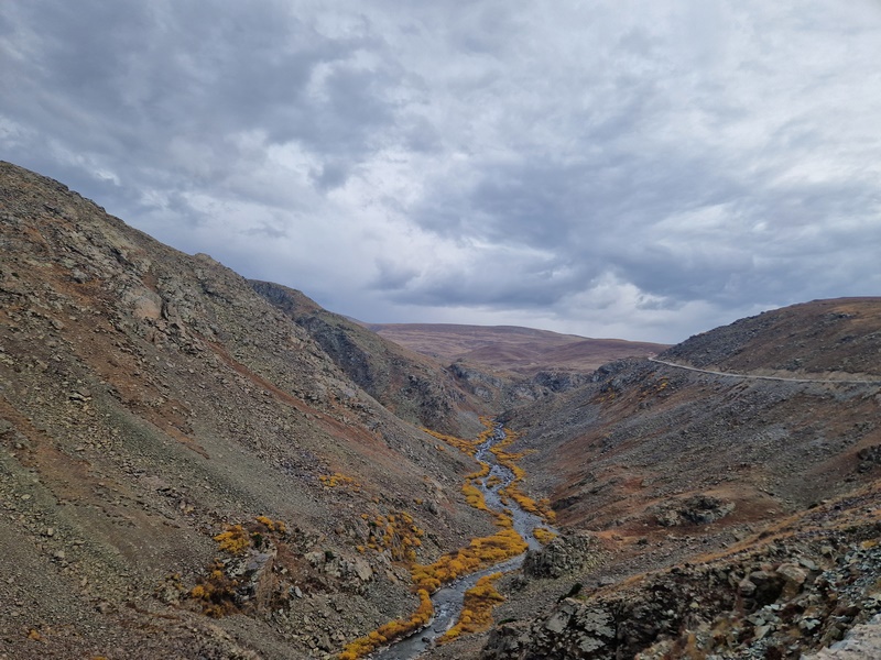 20250925_155552 (Kopiowanie).jpg